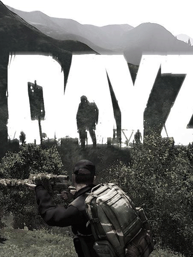 DAYZ加速器
