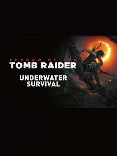 古墓丽影加速器