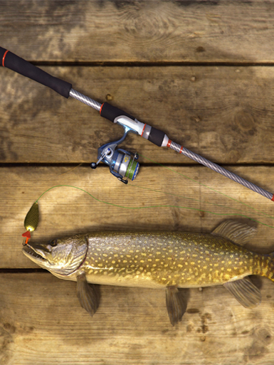 垂钓星球【国际服】加速器